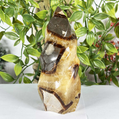 Septarian Gemstone Freeform - Gem Avenue Retail