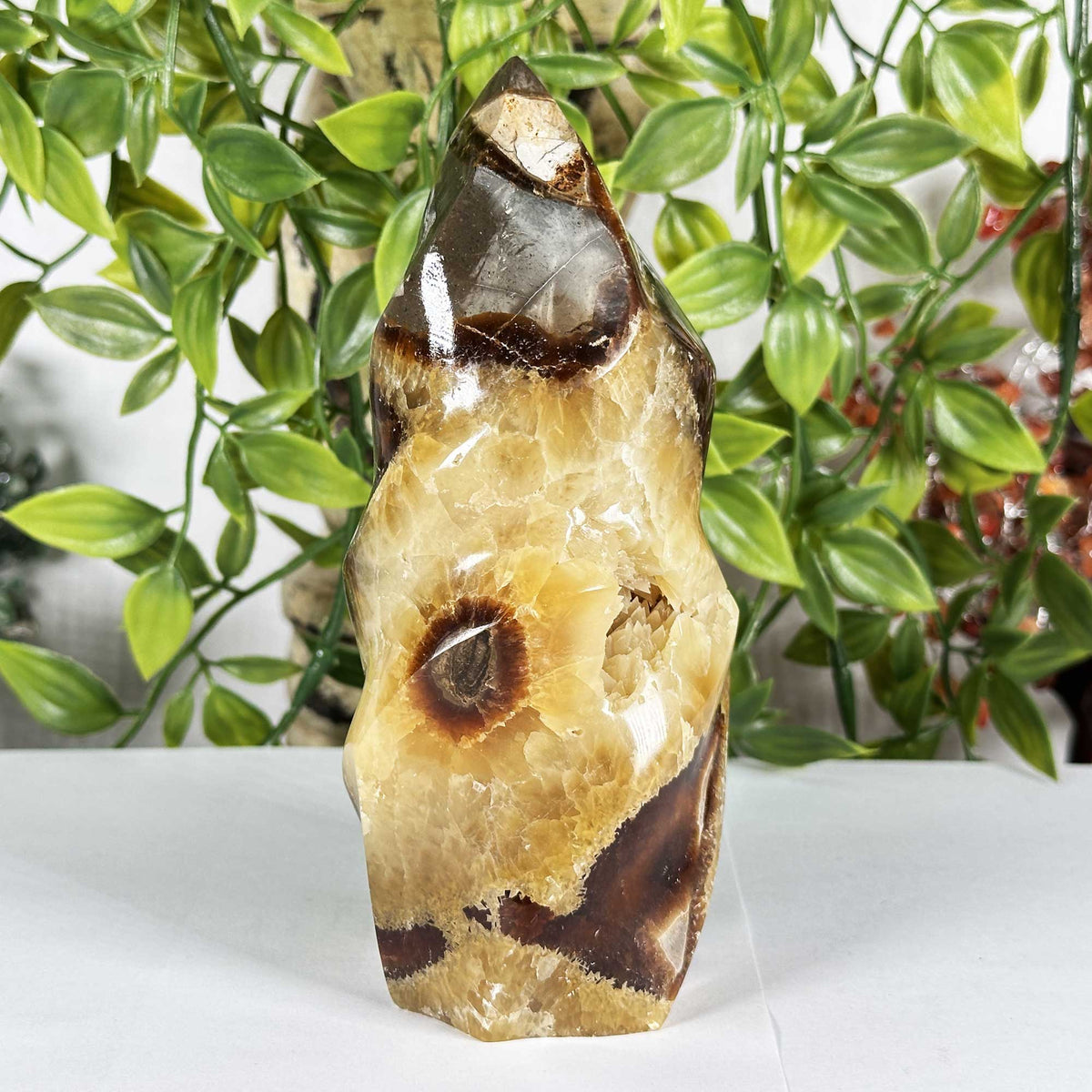 Septarian Gemstone Freeform - Gem Avenue Retail