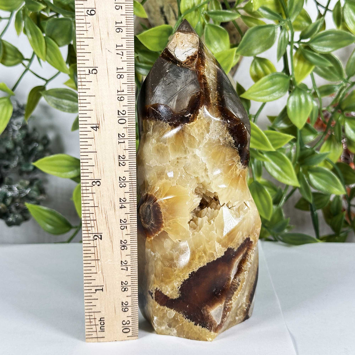 Septarian Gemstone Freeform - Gem Avenue Retail