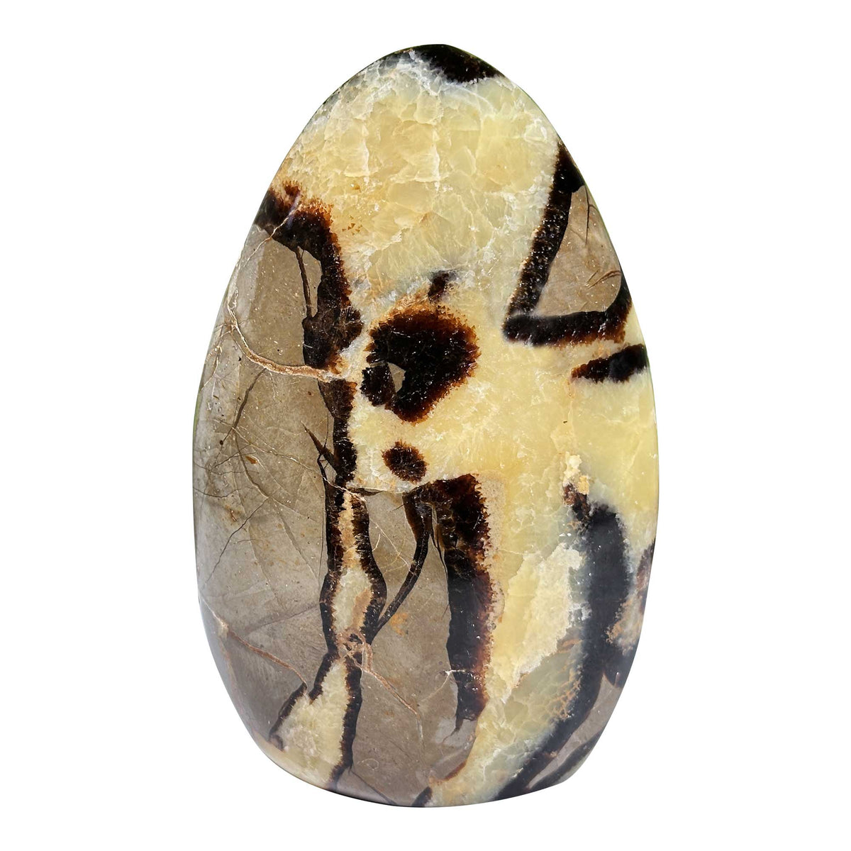 Septarian Gemstone Freeform - Gem Avenue Retail