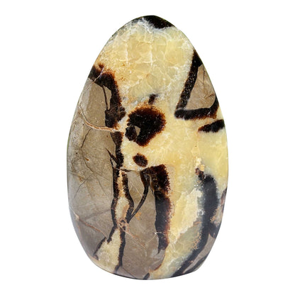Septarian Gemstone Freeform - Gem Avenue Retail
