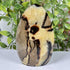 Natural Septarian Polished Crystal 5.5 Inch Madagascar Display Stone for Home Decor