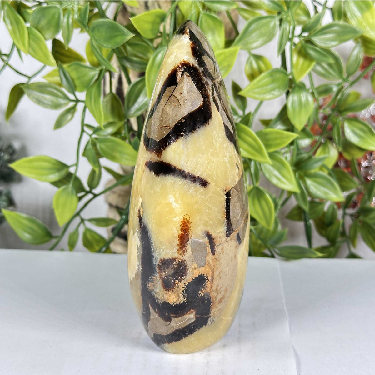 Septarian Gemstone Freeform - Gem Avenue Retail