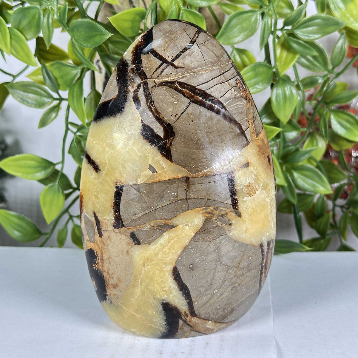 Septarian Gemstone Freeform - Gem Avenue Retail