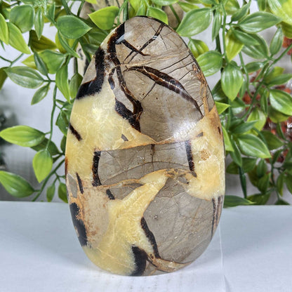Septarian Gemstone Freeform - Gem Avenue Retail