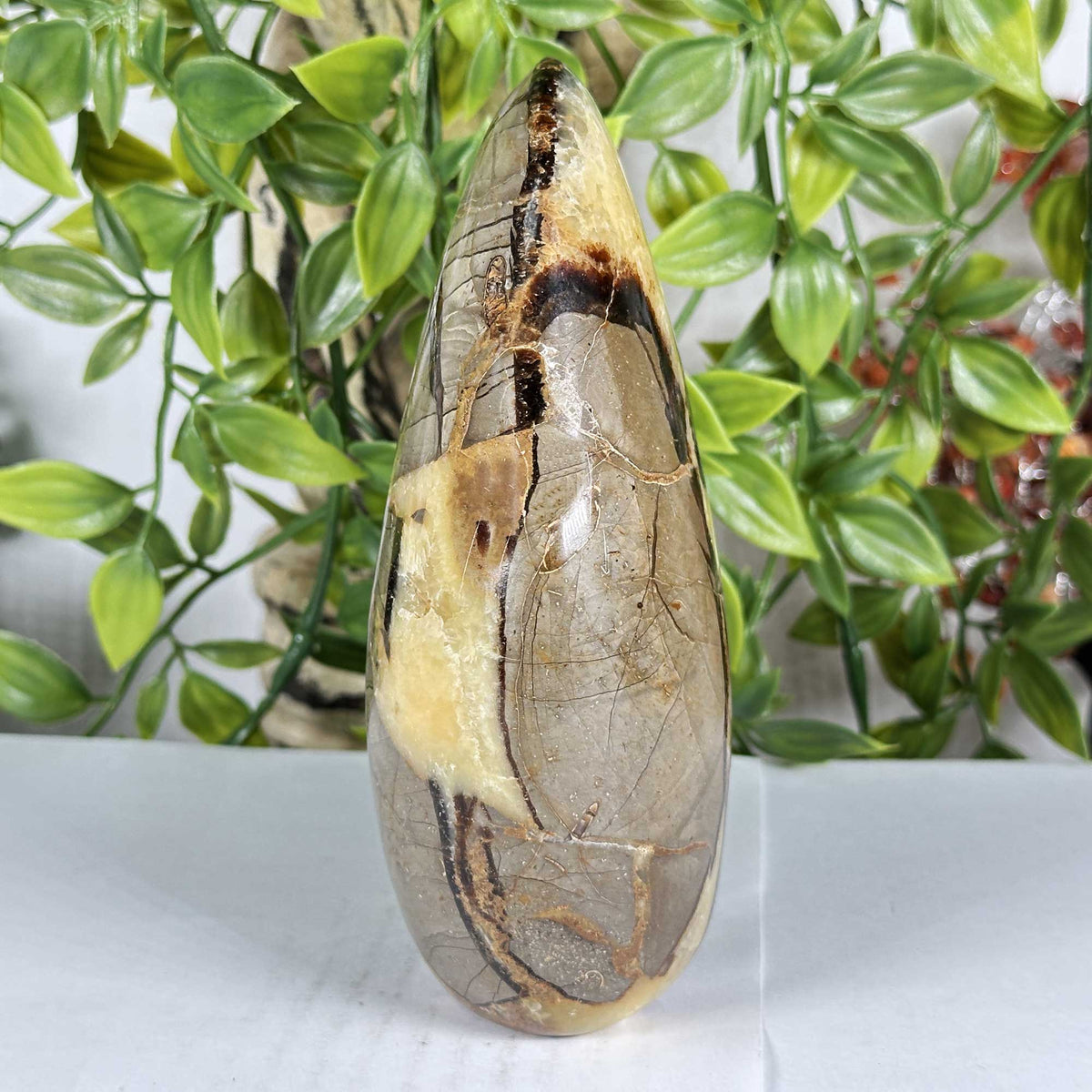 Septarian Gemstone Freeform - Gem Avenue Retail