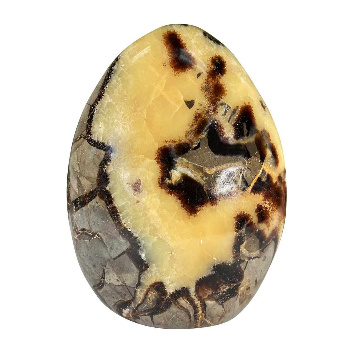 Septarian Gemstone Freeform - Gem Avenue Retail