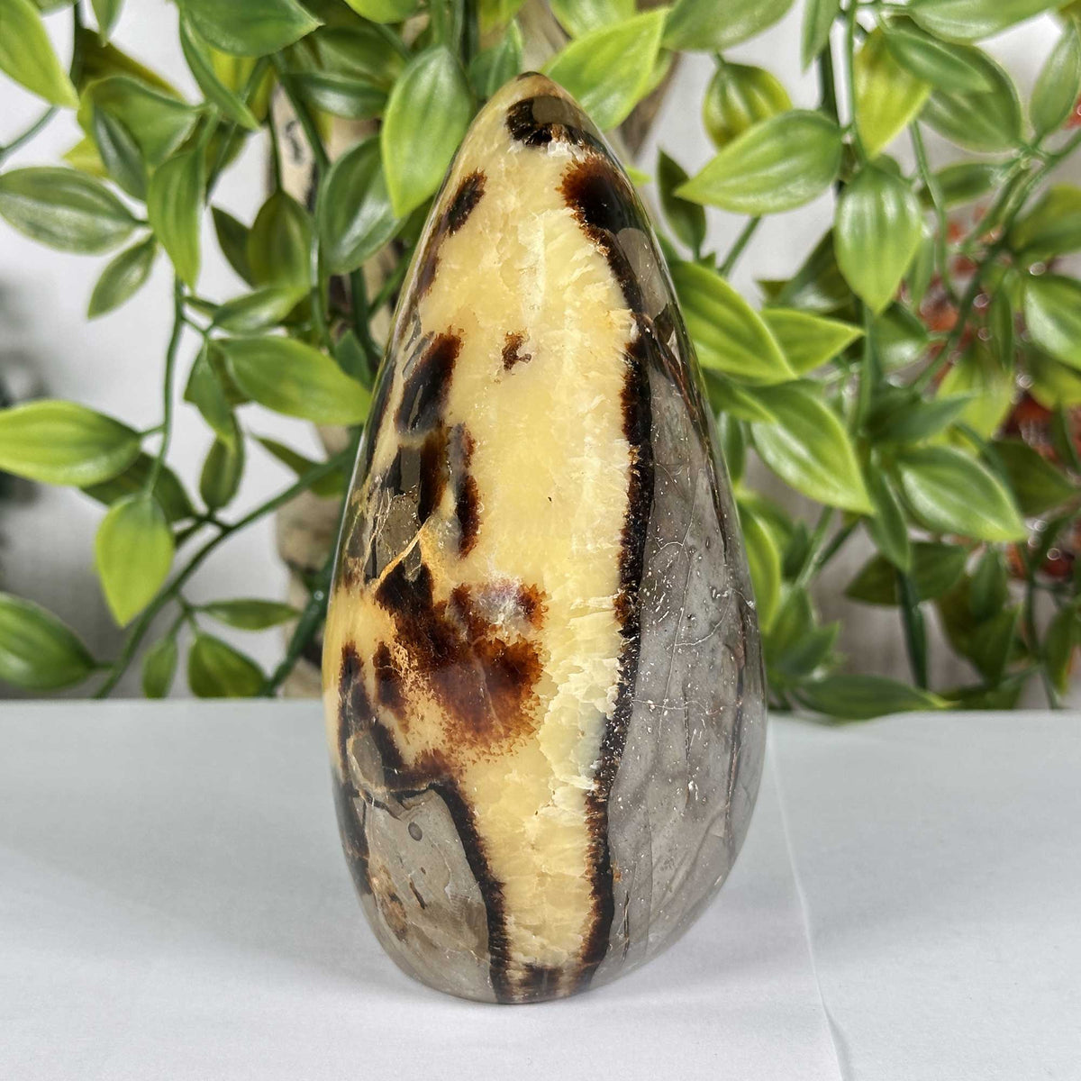 Septarian Gemstone Freeform - Gem Avenue Retail
