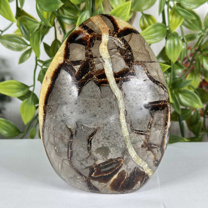 Septarian Gemstone Freeform - Gem Avenue Retail