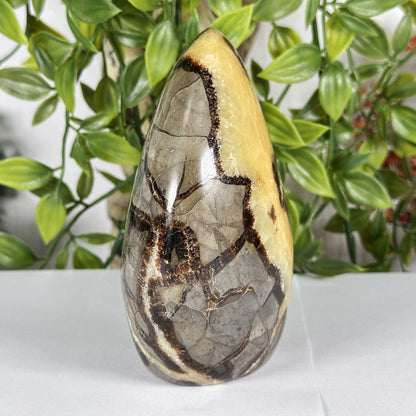 Septarian Gemstone Freeform - Gem Avenue Retail