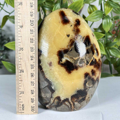 Septarian Gemstone Freeform - Gem Avenue Retail