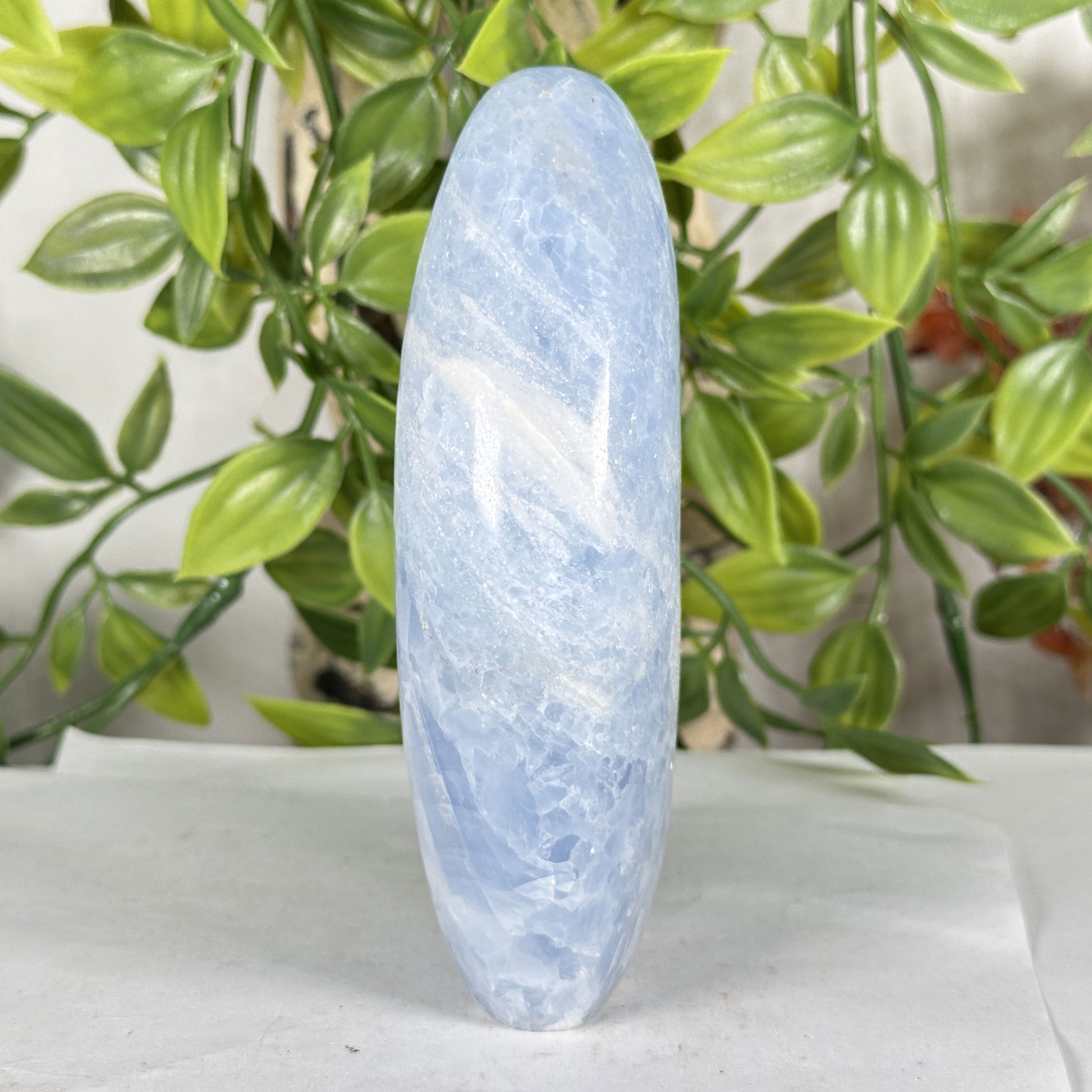 Celestite Crystal Freeform - Gem Avenue Retail