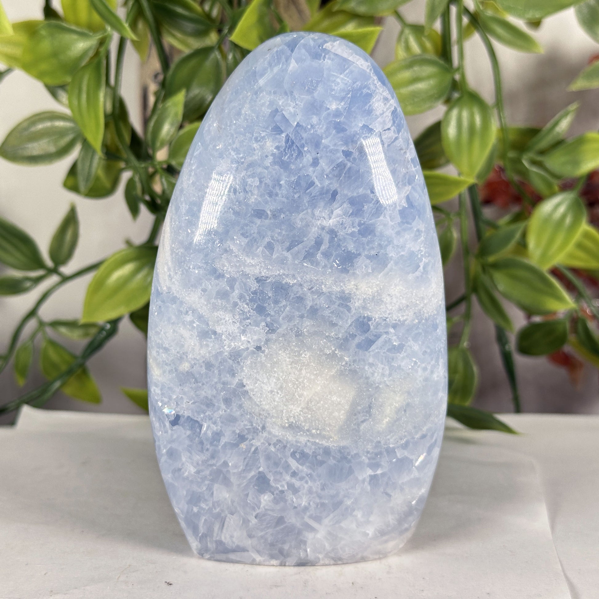 Celestite Crystal Freeform - Gem Avenue Retail
