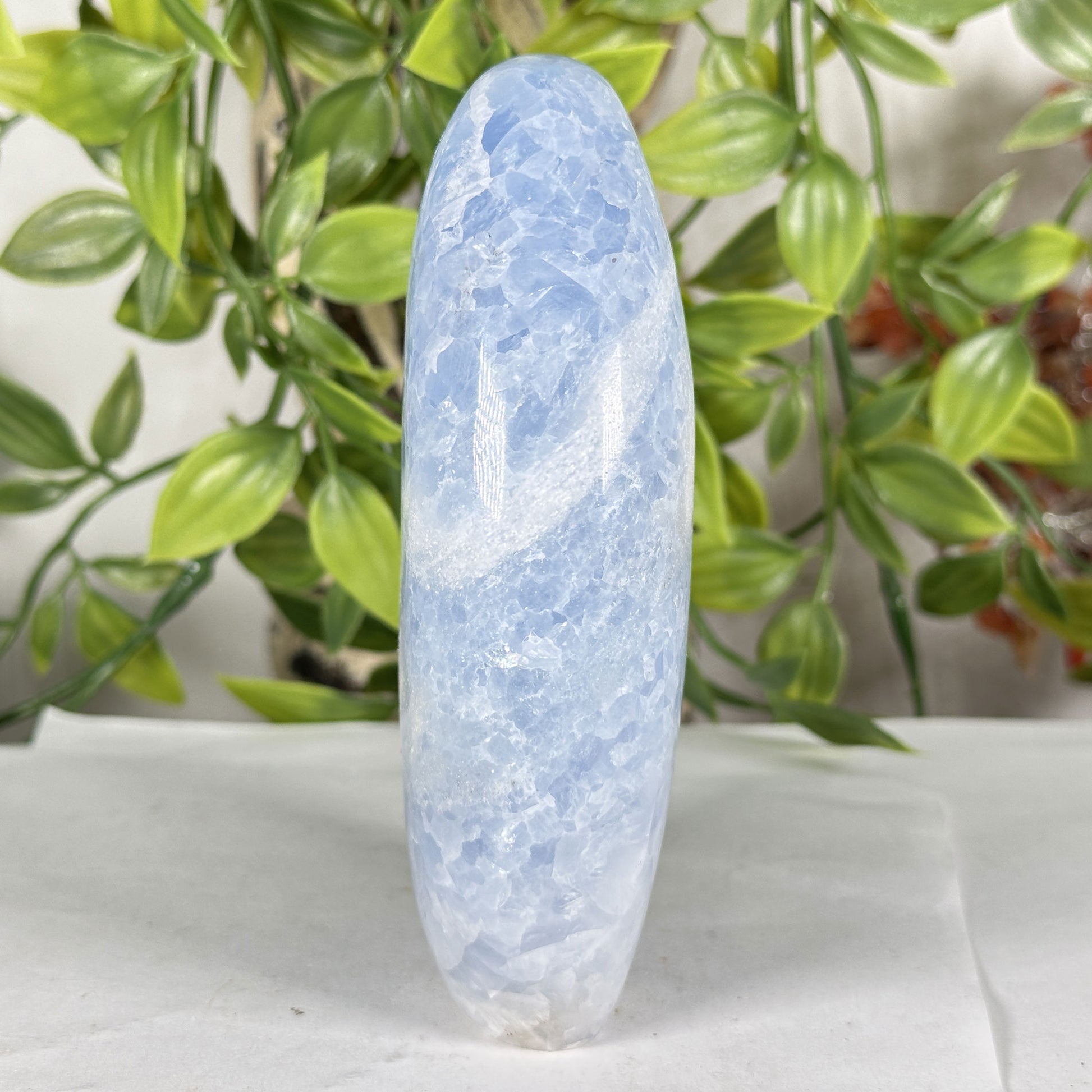 Celestite Crystal Freeform - Gem Avenue Retail