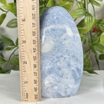 Celestite Crystal Freeform - Gem Avenue Retail