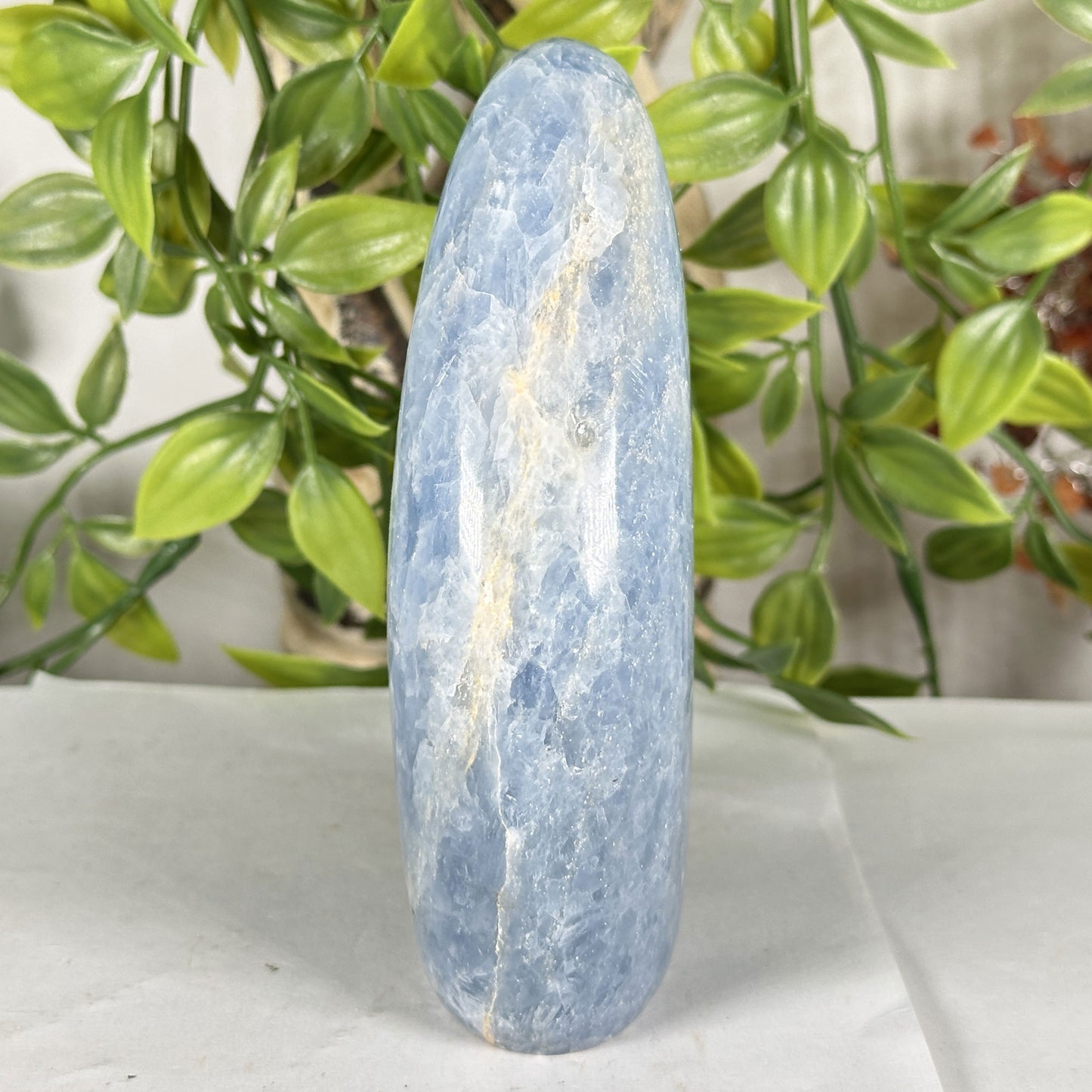 Celestite Crystal Freeform - Gem Avenue Retail