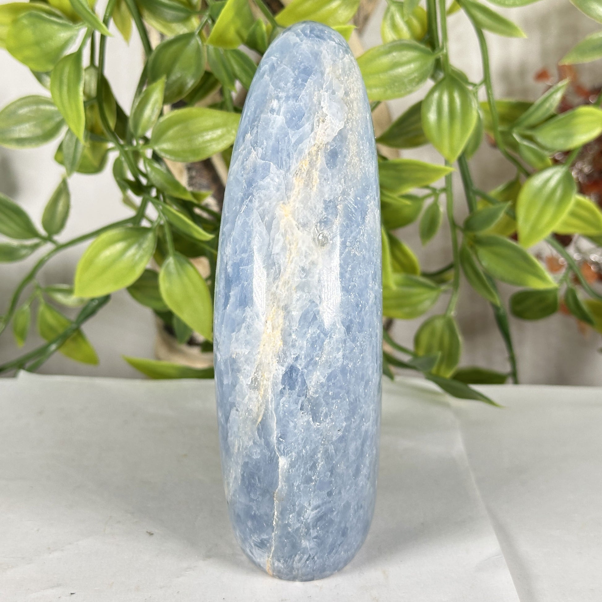 Celestite Crystal Freeform - Gem Avenue Retail