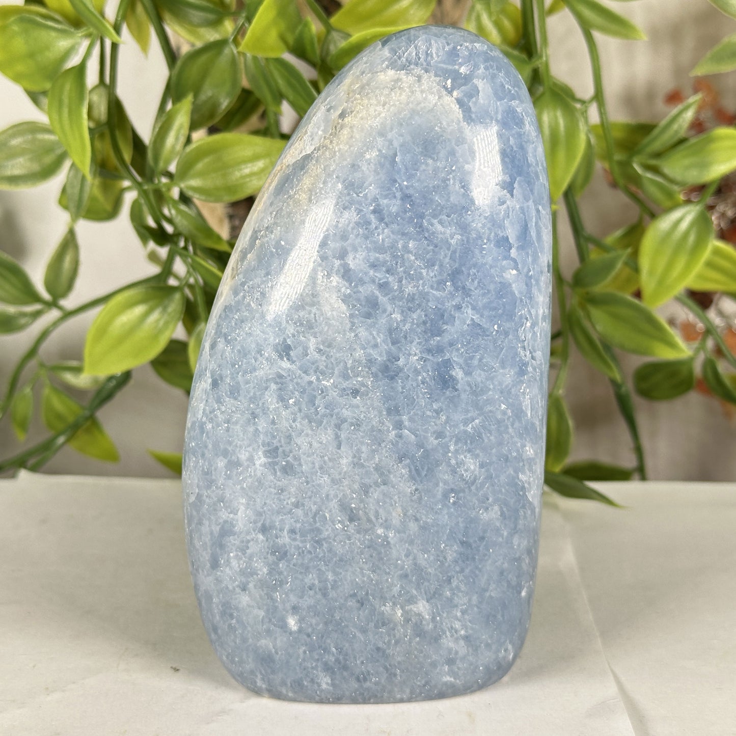 Celestite Crystal Freeform - Gem Avenue Retail