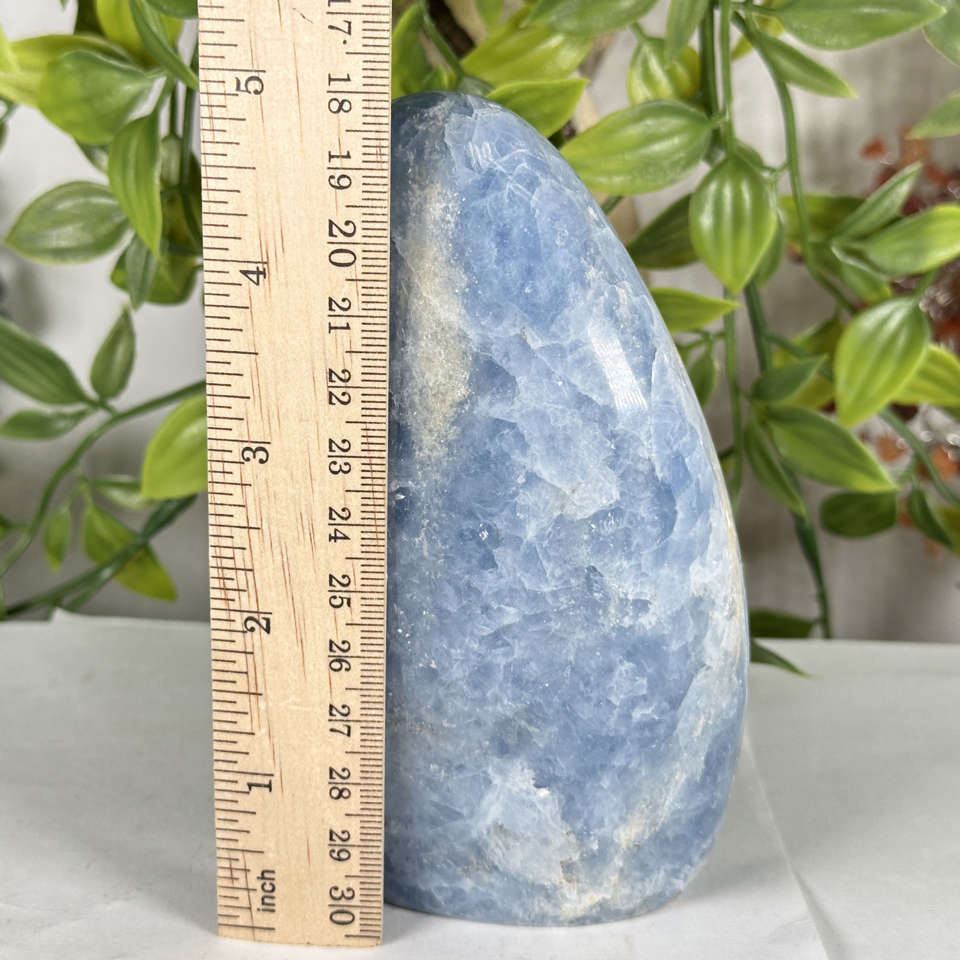 Celestite Crystal Freeform - Gem Avenue Retail