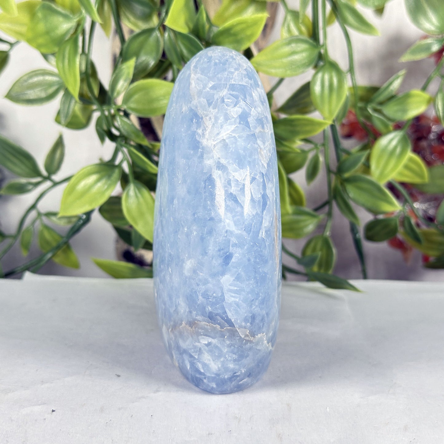 Celestite Crystal Freeform - Gem Avenue Retail