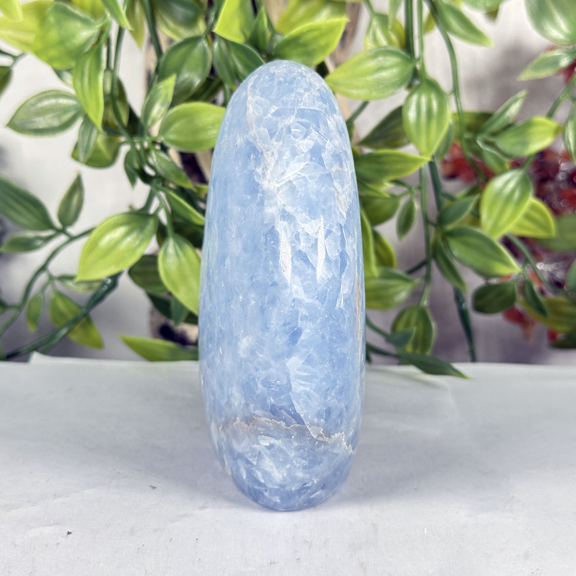 Celestite Crystal Freeform - Gem Avenue Retail