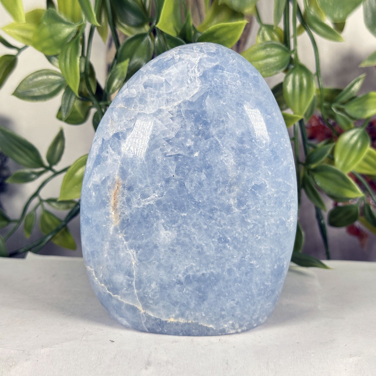 Celestite Crystal Freeform - Gem Avenue Retail
