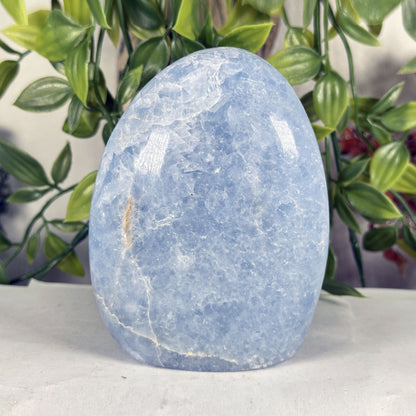 Celestite Crystal Freeform - Gem Avenue Retail