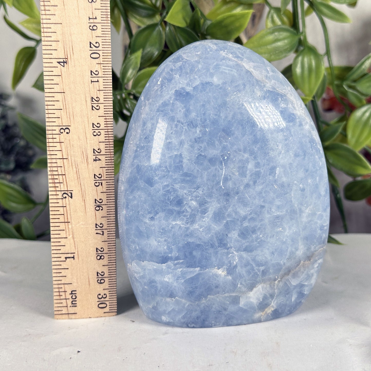 Celestite Crystal Freeform - Gem Avenue Retail