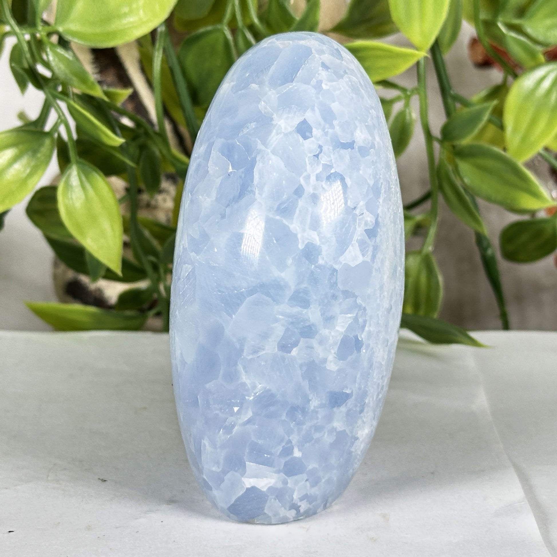 Celestite Crystal Freeform - Gem Avenue Retail