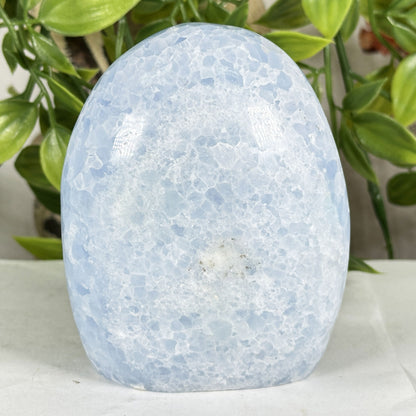 Celestite Crystal Freeform - Gem Avenue Retail