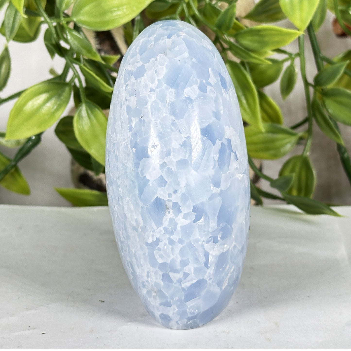 Celestite Crystal Freeform - Gem Avenue Retail