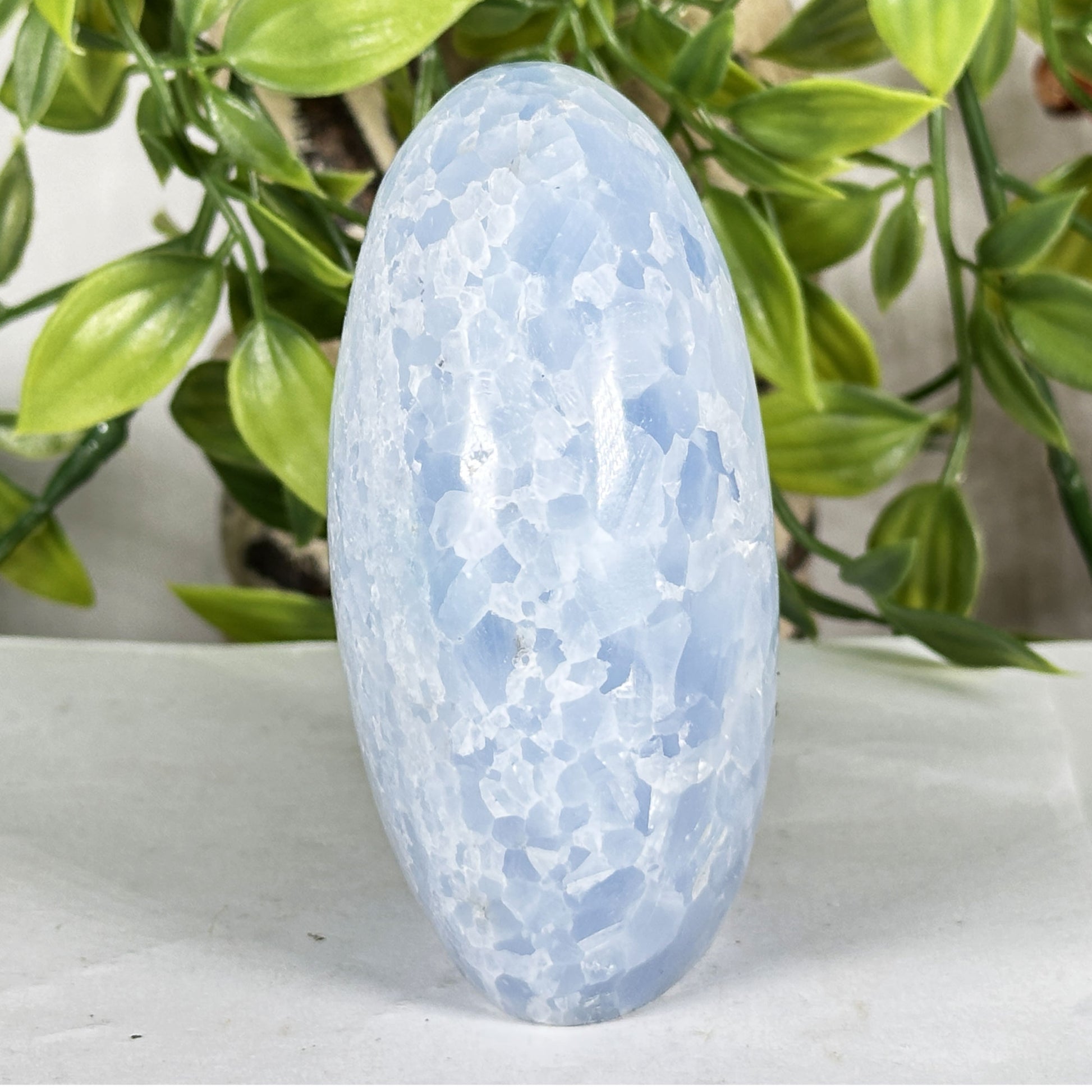 Celestite Crystal Freeform - Gem Avenue Retail