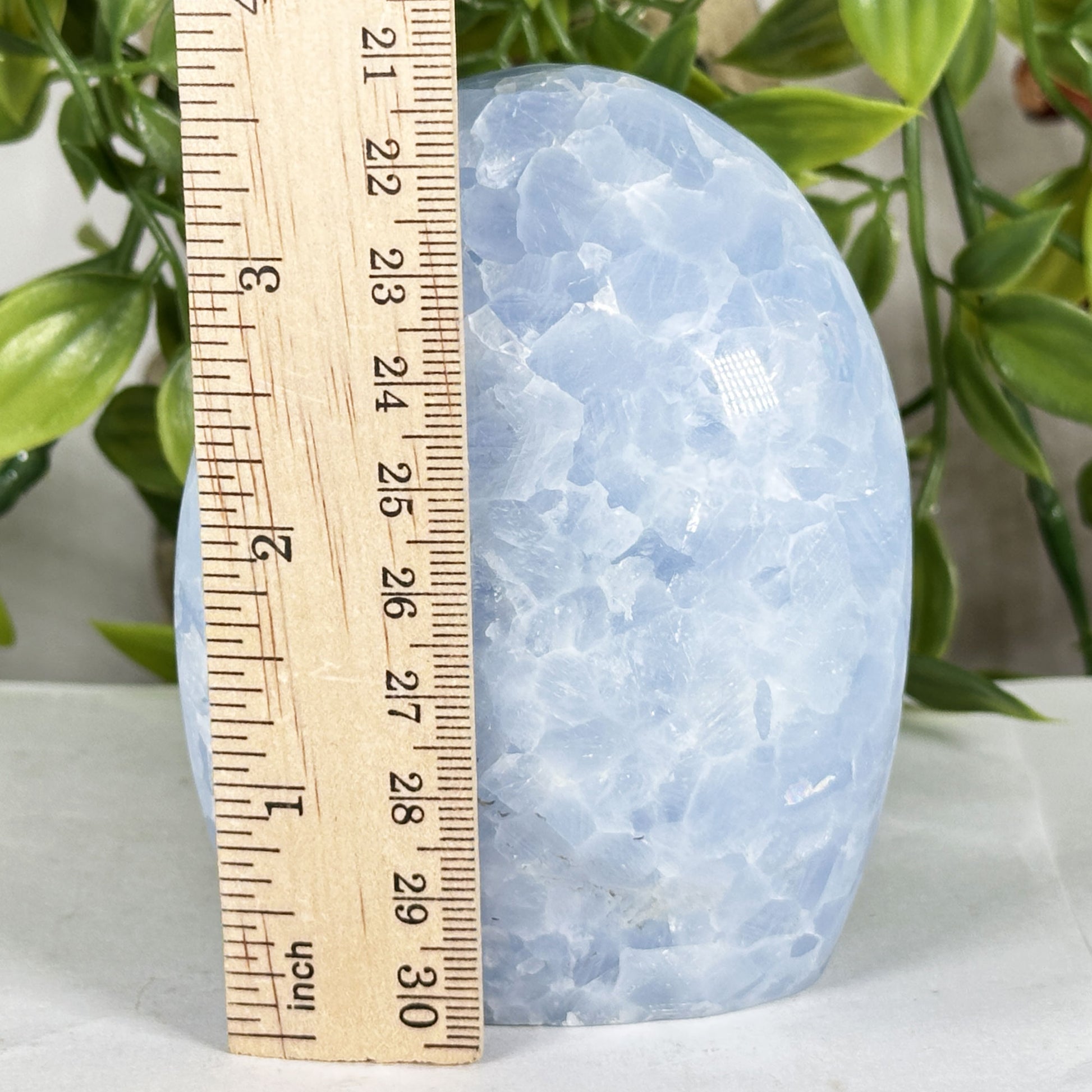 Celestite Crystal Freeform - Gem Avenue Retail
