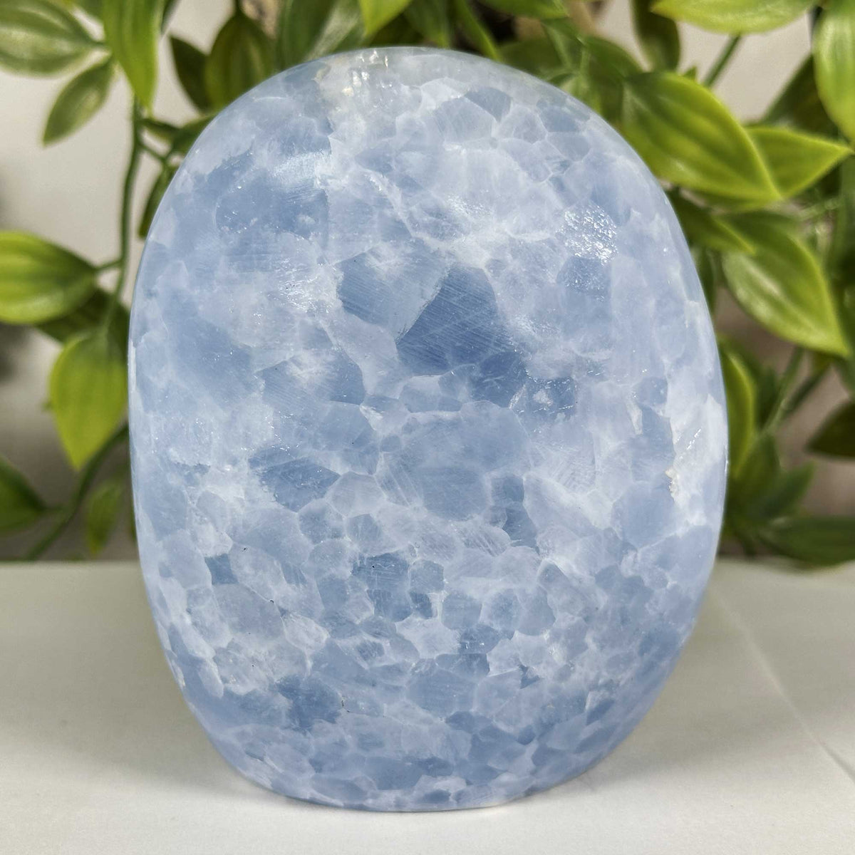 Celestite Crystal Freeform - Gem Avenue Retail