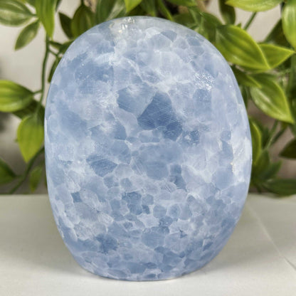 Celestite Crystal Freeform - Gem Avenue Retail