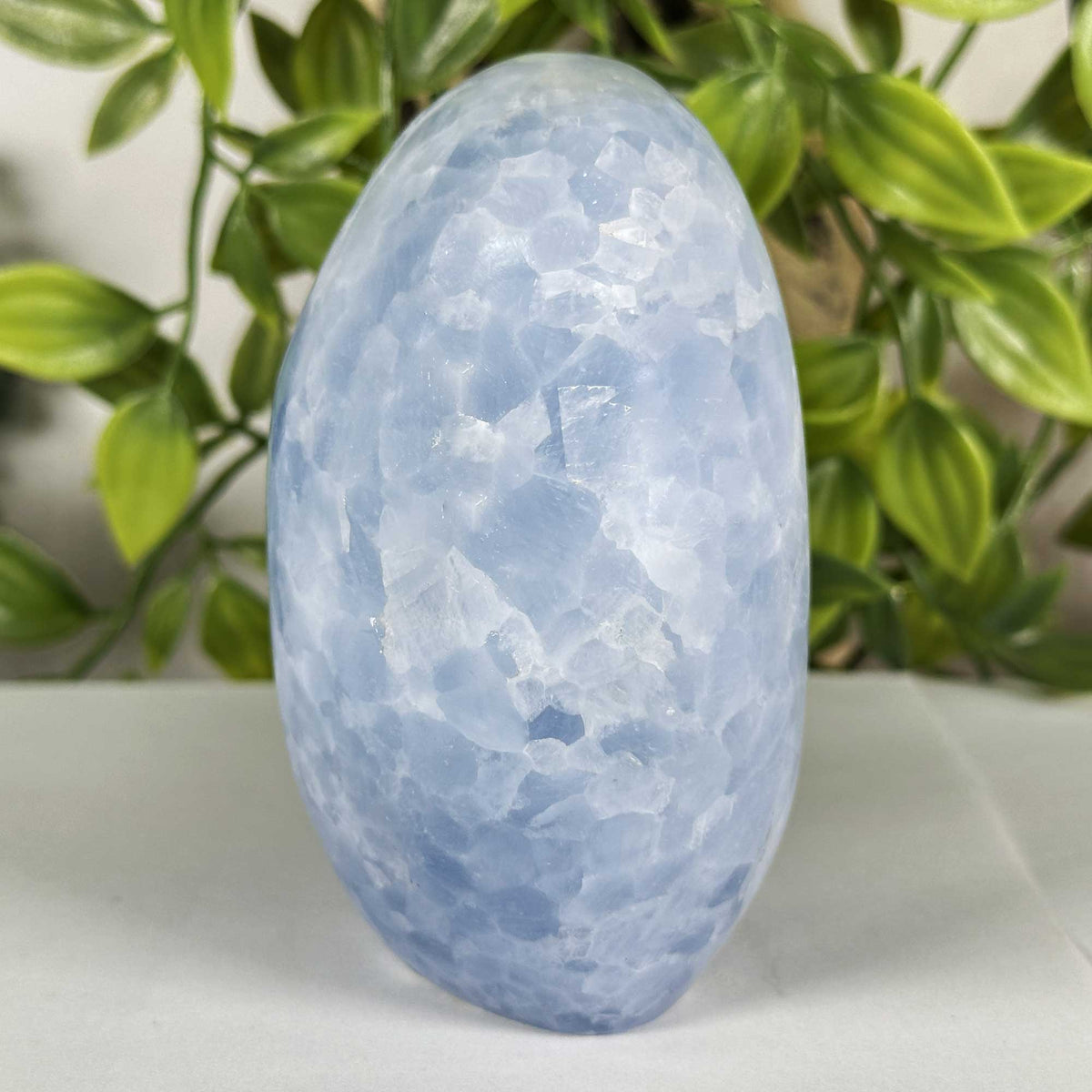 Celestite Crystal Freeform - Gem Avenue Retail
