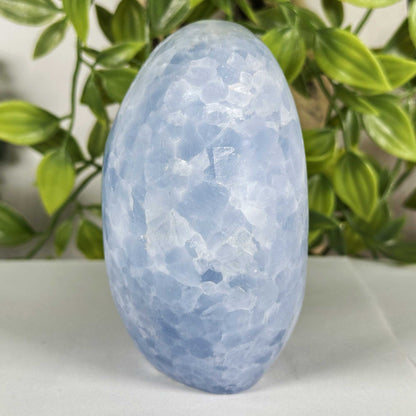 Celestite Crystal Freeform - Gem Avenue Retail
