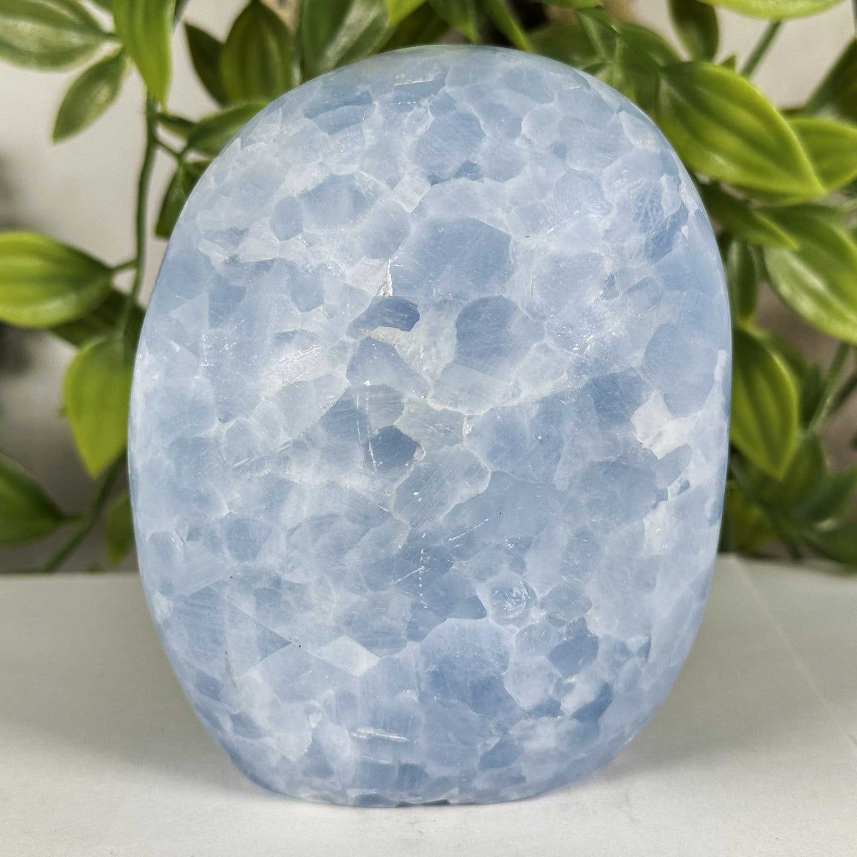 Celestite Crystal Freeform - Gem Avenue Retail