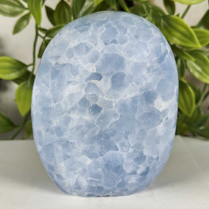 Celestite Crystal Freeform - Gem Avenue Retail
