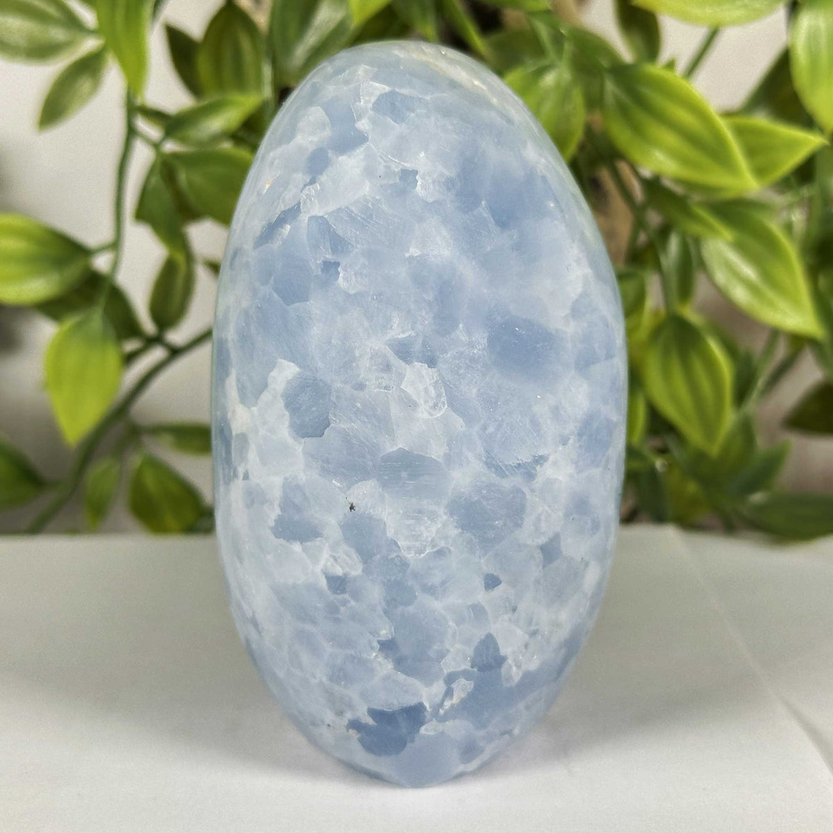 Celestite Crystal Freeform - Gem Avenue Retail