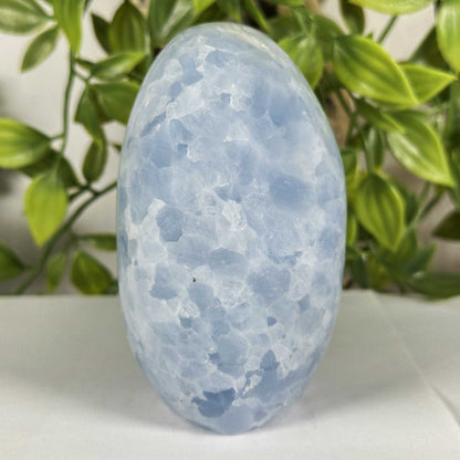 Celestite Crystal Freeform - Gem Avenue Retail