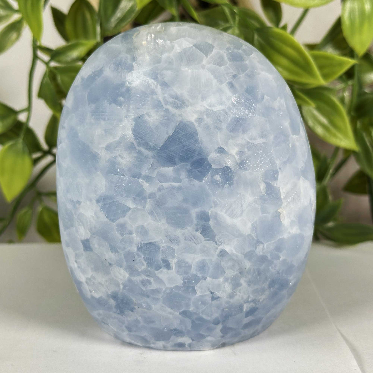 Celestite Crystal Freeform - Gem Avenue Retail