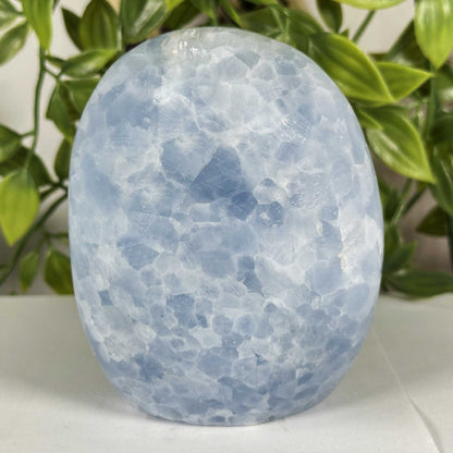 Celestite Crystal Freeform - Gem Avenue Retail