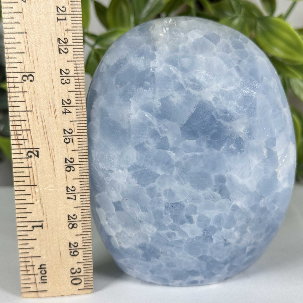 Celestite Crystal Freeform - Gem Avenue Retail