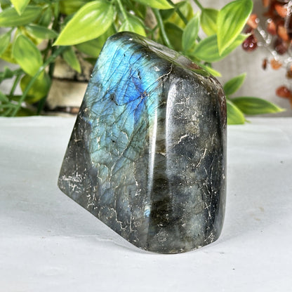 Labradorite Crystal Freeform - Gem Avenue Retail