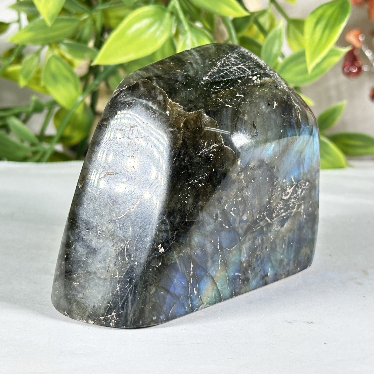 Labradorite Crystal Freeform - Gem Avenue Retail