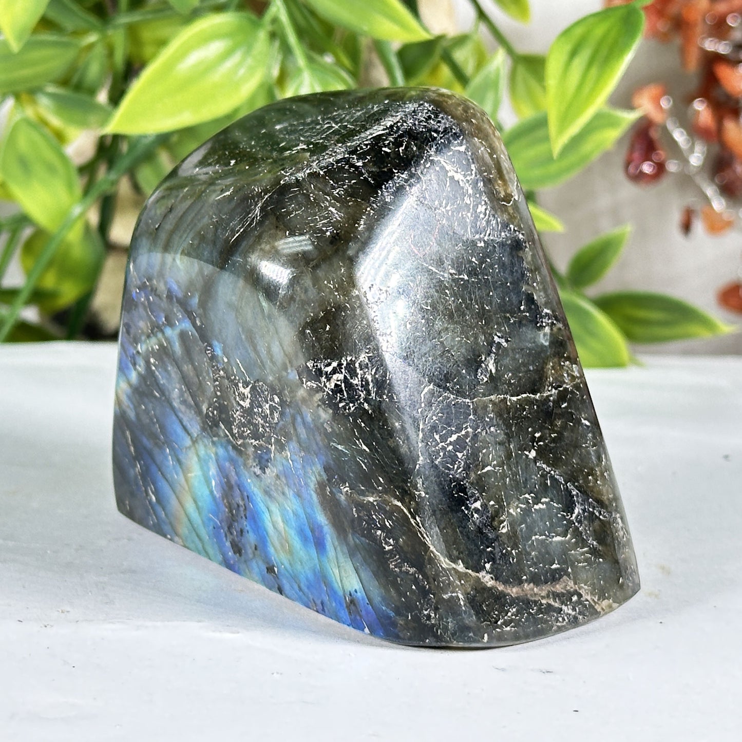 Labradorite Crystal Freeform - Gem Avenue Retail
