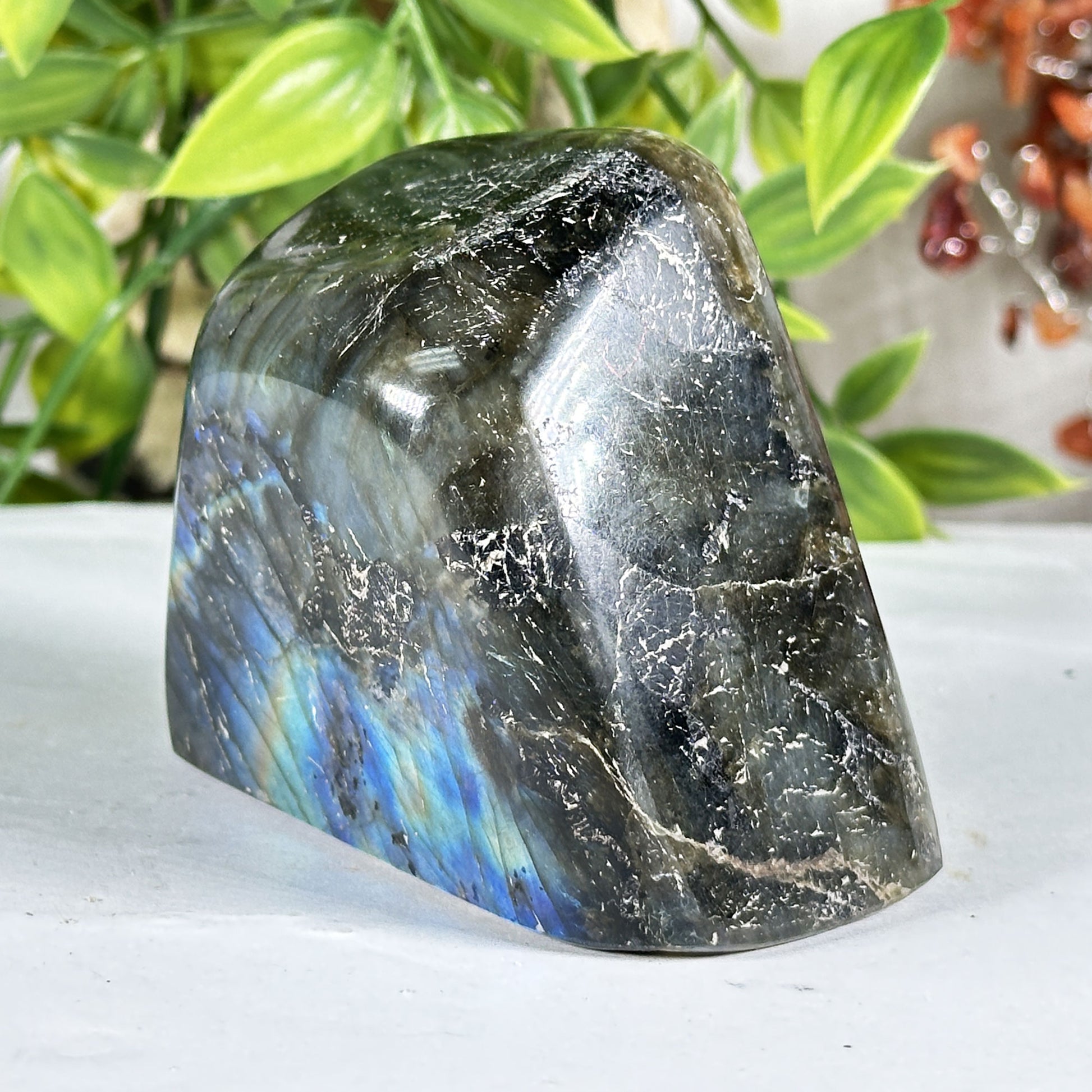 Labradorite Crystal Freeform - Gem Avenue Retail