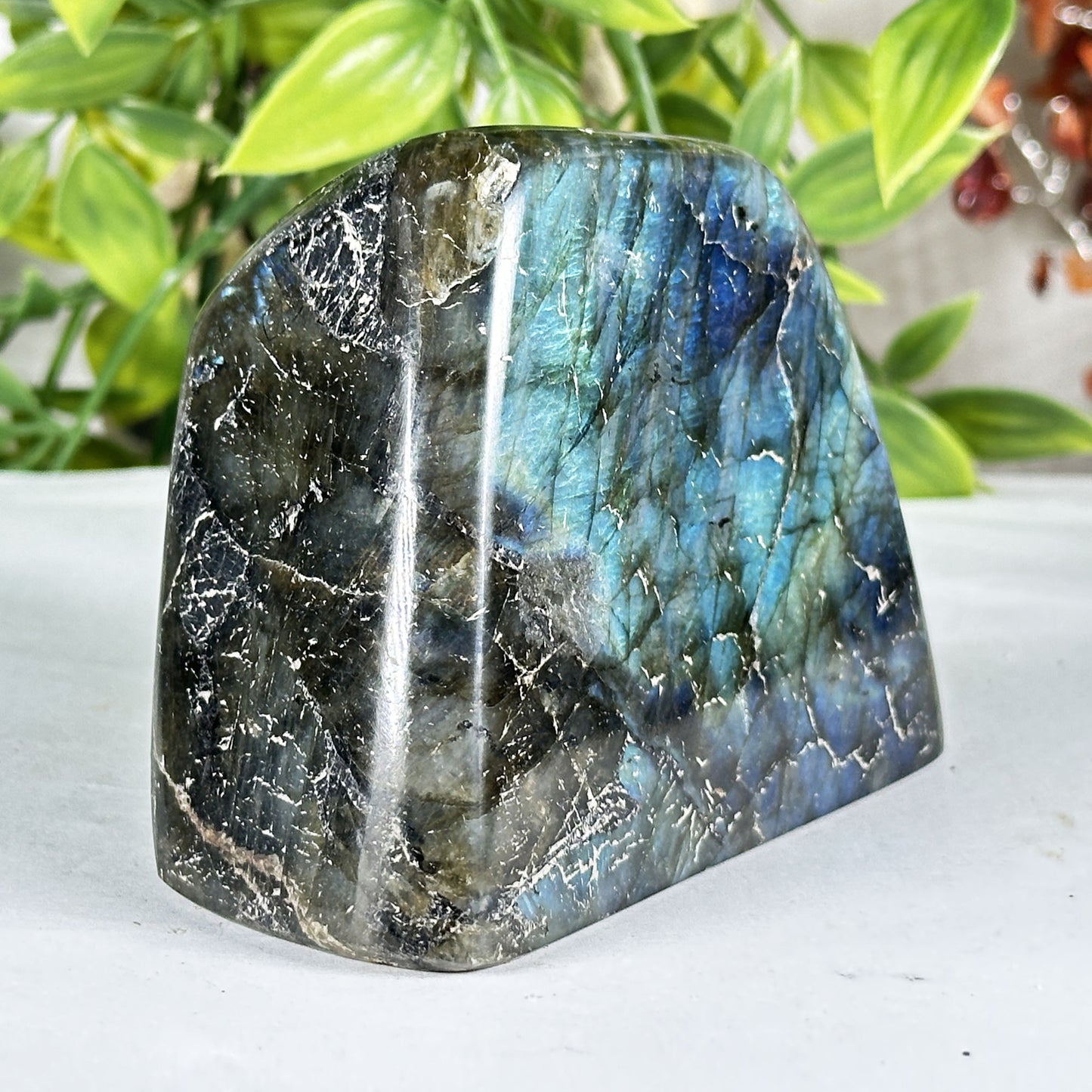 Labradorite Crystal Freeform - Gem Avenue Retail