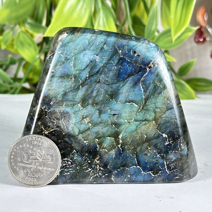 Labradorite Crystal Freeform - Gem Avenue Retail